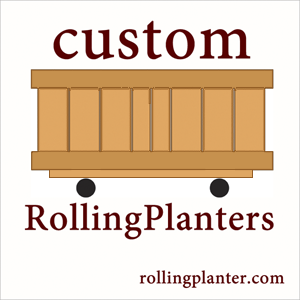 Custom Rolling Planters